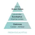 Fresh Eucalyptus duftpyramide duftolie lampeolie – Maison Berger – byHviid