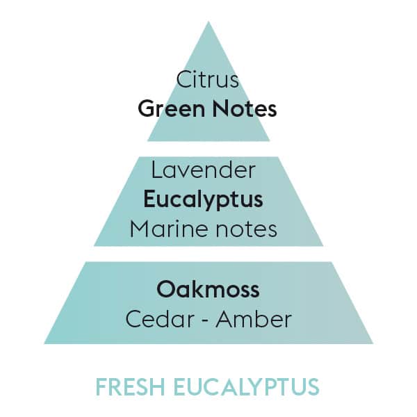 Fresh Eucalyptus duftpyramide duftolie lampeolie - Maison Berger - byHviid