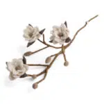 Magnolia gren med hvide blomster – Én Gry og Sif
