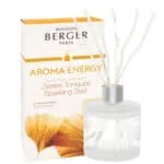 Aroma Energy Sparkling zest flakon med duftpinde Bouquet fra Maison Berger – byHviid