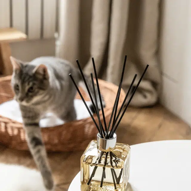 Pet_My_Home_Free_Odours_Flakon_m_Duftpinde_Bouquet_Lamper_Berger_Maison_Berger_byHviid