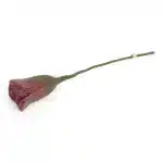 En-Gry-og-Sif-Tulip-rouge-filt-blomst-byHviid